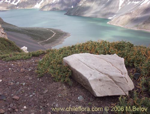 An image of Yeso Lake (Embalse Yeso) with a gypsum stone in the foreground.