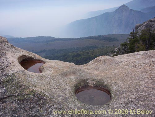 Image of a large stone with man-made holes with El Morillo in the background, Vilches, Chile. 