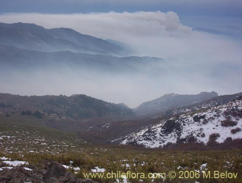 View of a valley covered with smoke, from Peine, Lircay, Vilches, Chile.