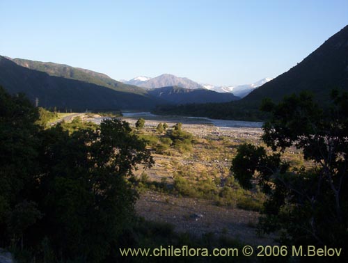 Image of a valley at sunset.