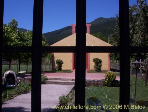 Image of a fence of a church yard with the church behind bars.