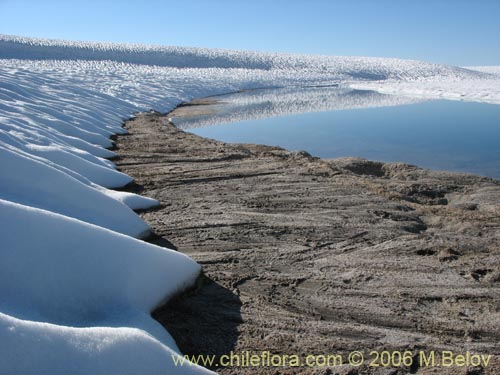 A view of a shore of snow and ice- covered Las Animas Lake on the Mondaca Trail from Radal Siete Tasas, Chile.