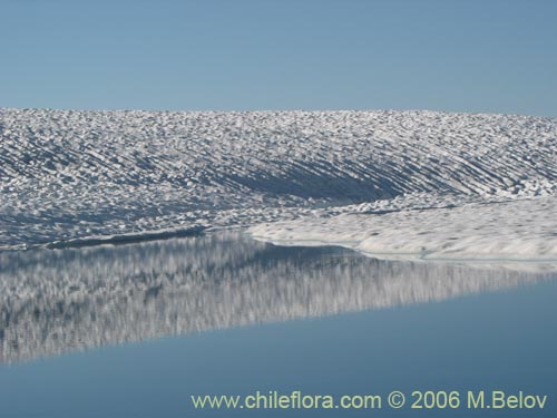 A view of snow and ice-covered Las Animas Lake on the Mondaca Trail from Radal Siete Tasas, Chile.