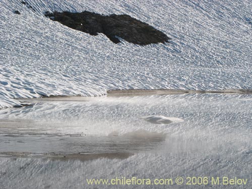 A view of snow and ice-covered Las Animas Lake on the Mondaca Trail from Radal Siete Tasas, Chile.