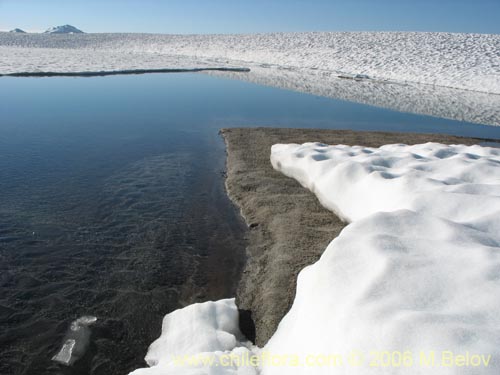 A view of snow and ice covered Las Animas Lake on the Mondaca Trail from Radal Siete Tasas, Chile.