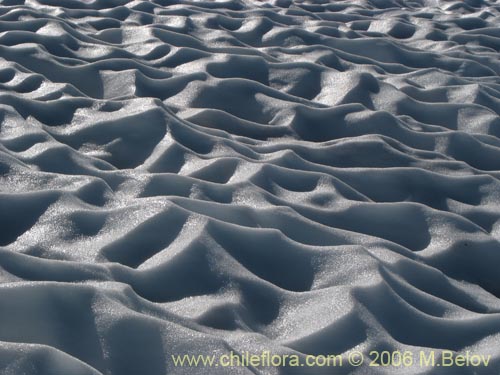An abstract image of melting snow, Chile.