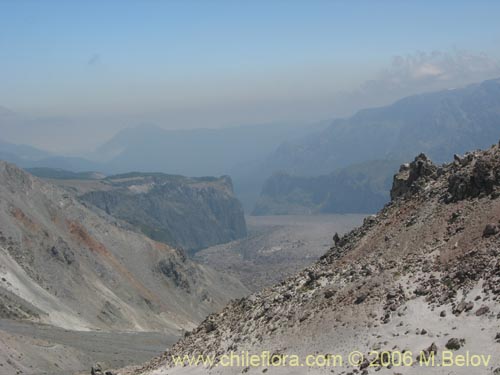 A view of a steep valley with lava field, Radal Siete Tasas, Chile.