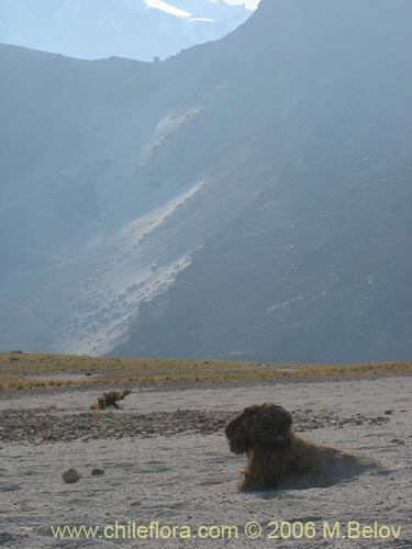 Image of volcanic ash desert, Mondaca Trail, Chile.