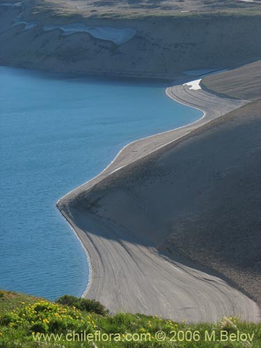 Image of volcanic ash slopes and the shore of Laguna Maule, with some green grass in foreground.