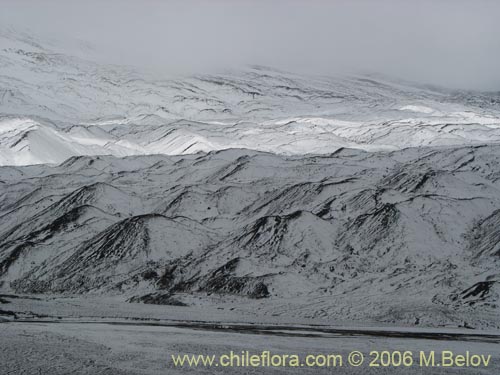 Image of mountain slopes covered with snow at Volcan Llaima.