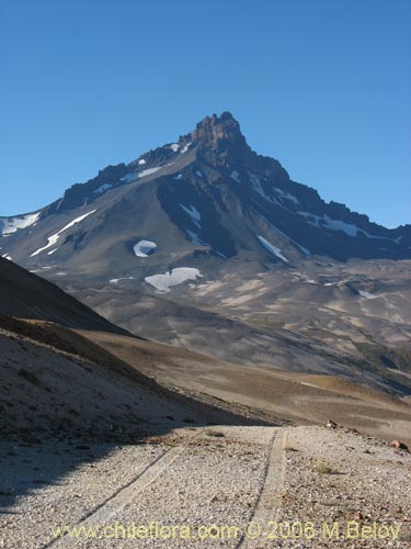 Image of Cerro Castillo, near the Pehuenche Pass and Laguna Maule, at the border with Argentina.