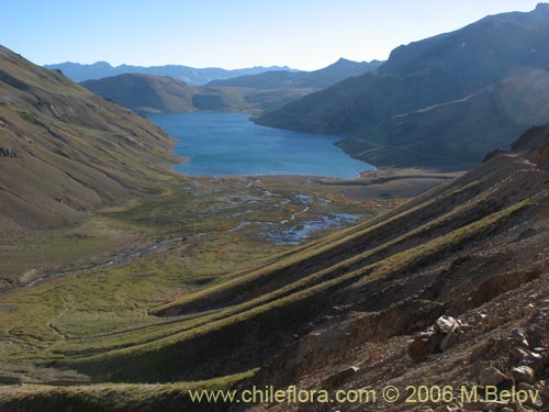 Image of mountain slope and Laguna Maule.