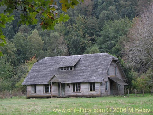 Image of an old wooden house.