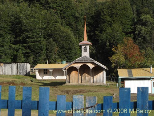 Image of a traditional wooden church behind locked wooden gate near Co�aripe, Chile.