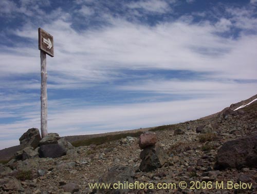 A sign pointing towards Laguna El Alto, Lircay, Vilches, Chile.