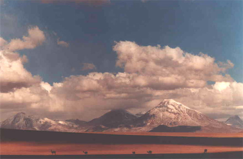 An image of mountain scenery with guanacos grazing near the Salar de Atacama, Chile.