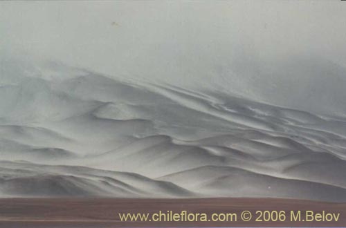 An image of slopes covered by snow which dissolve in the white, foggy sky.