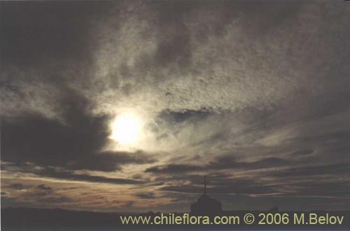 An image of a grave in the Atacama desert with dark clouds in the sky, Chile.