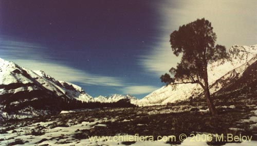 An image of the valley of Embalse de Yeso at night, with moon.