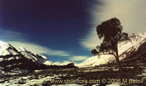 An image of the valley of Embalse de Yeso at night, with moon.