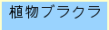 植物ブラクラ