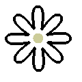 White, 7 - 14 petals