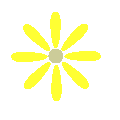 黄色、 7-14枚の花弁