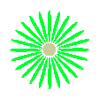 Grn, mehr als 14 Bltenbltter, auch Asteraceae