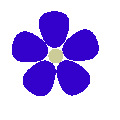 青い色、 5枚の花弁