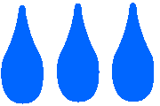 Planta crece en el agua o se encuentra con sus ra�ces dentro de un curso de agua permanente. Corresponde a vegas, cursos de agua, bordes de lagos, pantanos, etc.