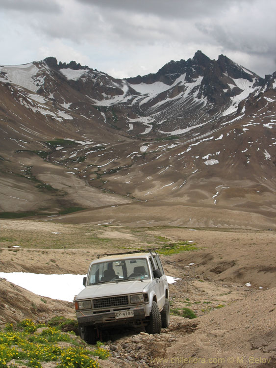 Paso Pehuenche:A Jeep is a vehicle which will definitively get stuck in a place to which others will not make it.