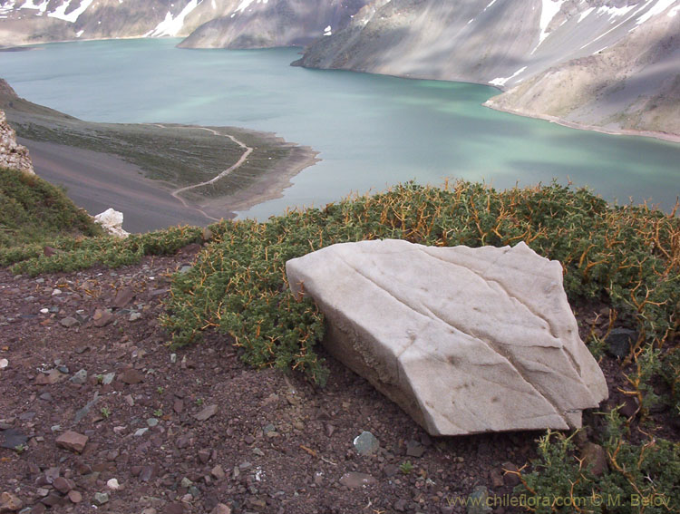 An image of Yeso Lake (Embalse Yeso) with a gypsum stone in the foreground.