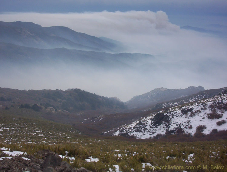 View of a valley covered with smoke, from Peine, Lircay, Vilches, Chile.