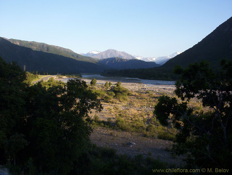 Image of a valley at sunset.