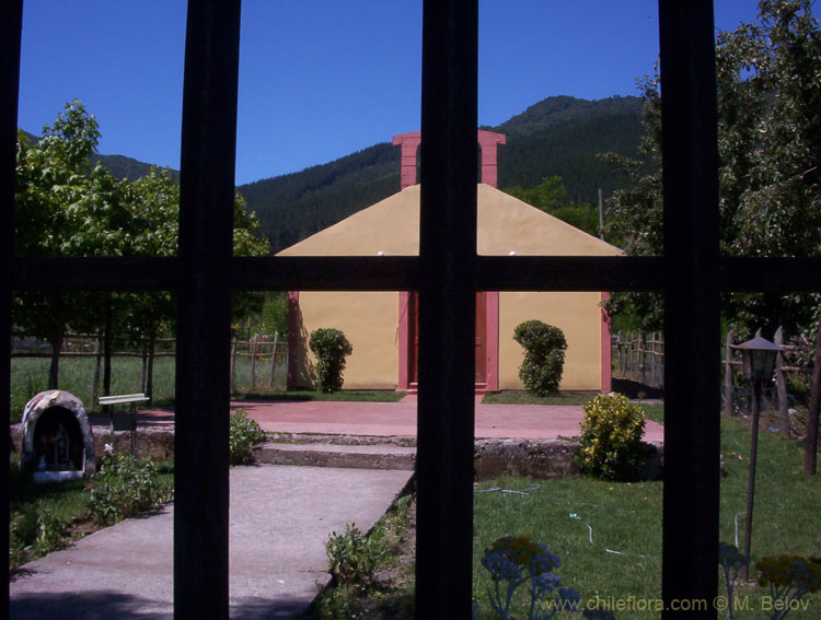 Image of a fence of a church yard with the church behind bars.