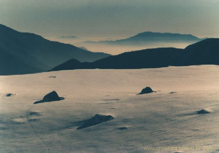 An image of a snow-covered mountain field, with large rocks, with Santiago below.