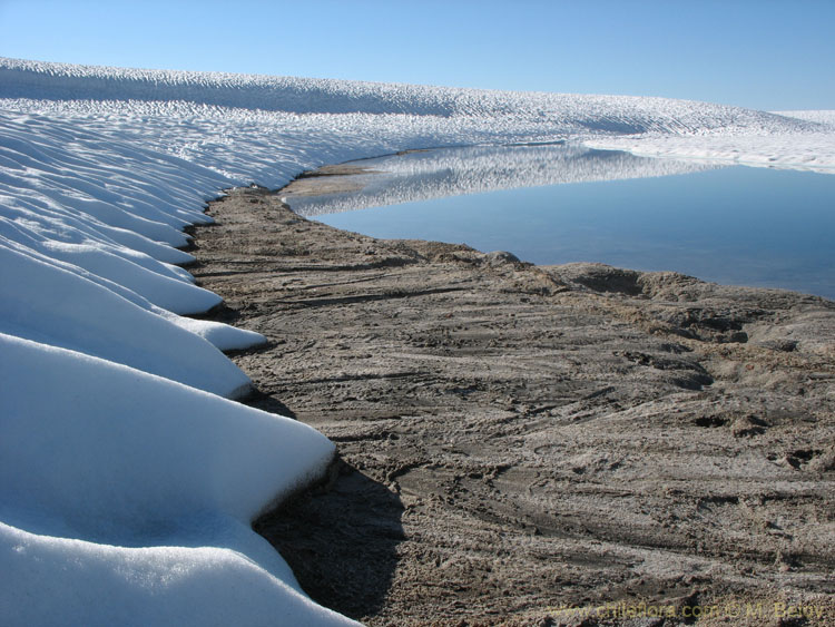 A view of a shore of snow and ice- covered Las Animas Lake on the Mondaca Trail from Radal Siete Tazas, Chile.