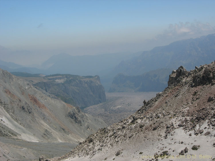 A view of a steep valley with lava field, Radal Siete Tazas, Chile.