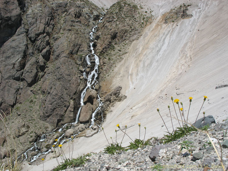 A view of a small brook with waterfalls and yellow flowers, Mondaca Trail, Radal Siete Tazas National Park.