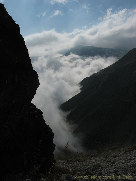 Image of clouds pouring into the valley, Mondaca Trail, Chile.