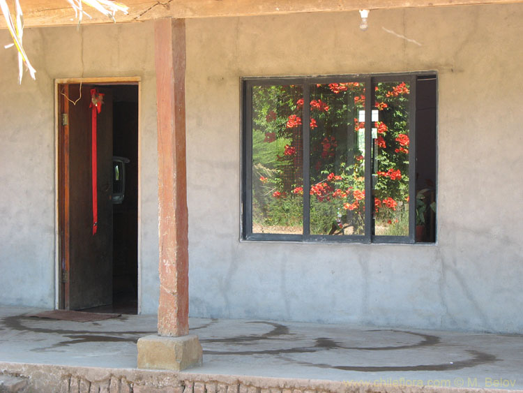 Image of house with door and window.