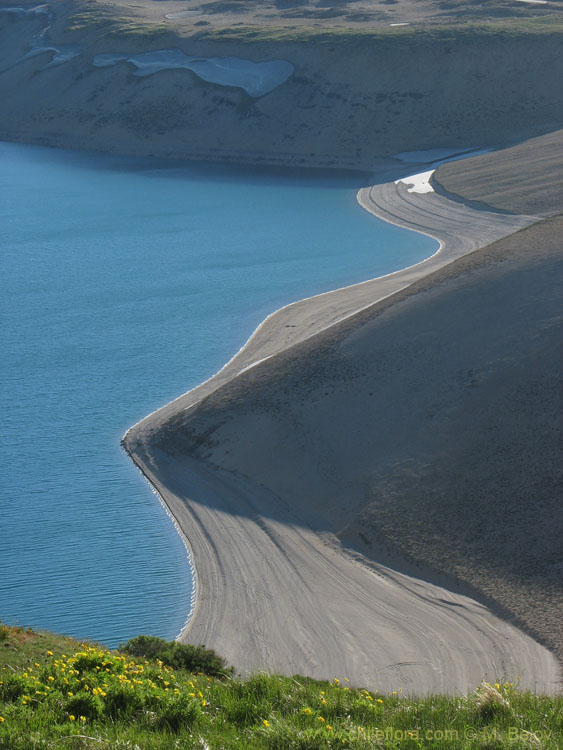 Image of volcanic ash slopes and the shore of Laguna Maule, with some green grass in foreground.