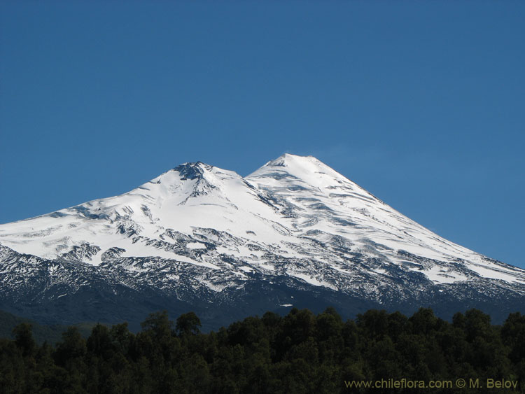 Winter Volcano:Llaima volcano near Temuco