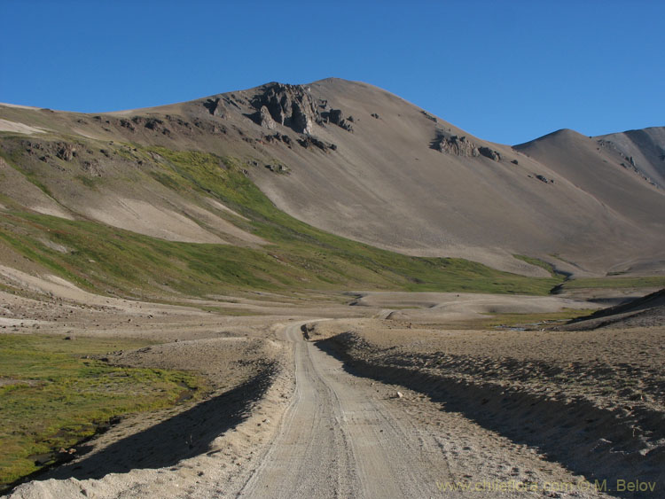 Image of a road going down from Pehuenche Pass to Chile, near Laguna Maule.