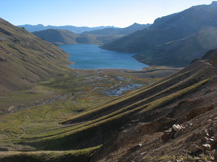 Image of mountain slope and Laguna Maule.