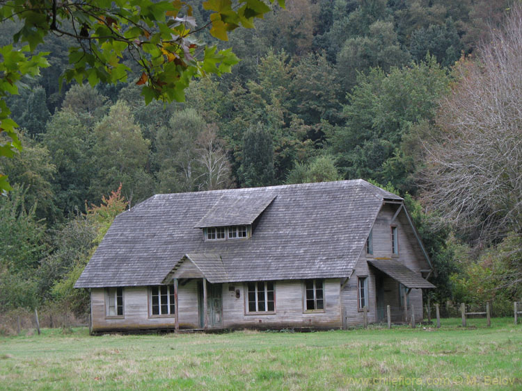 Image of an old wooden house.