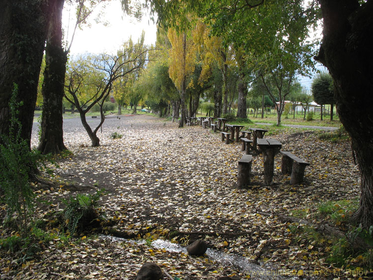 Image of wooden benches on shore of  Calafquen lake.