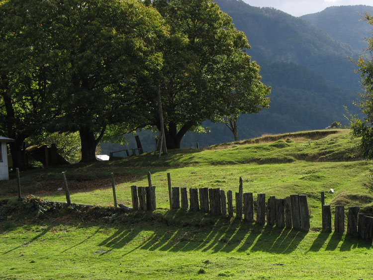 Image of a wooden fence and green lawn near Coñaripe.