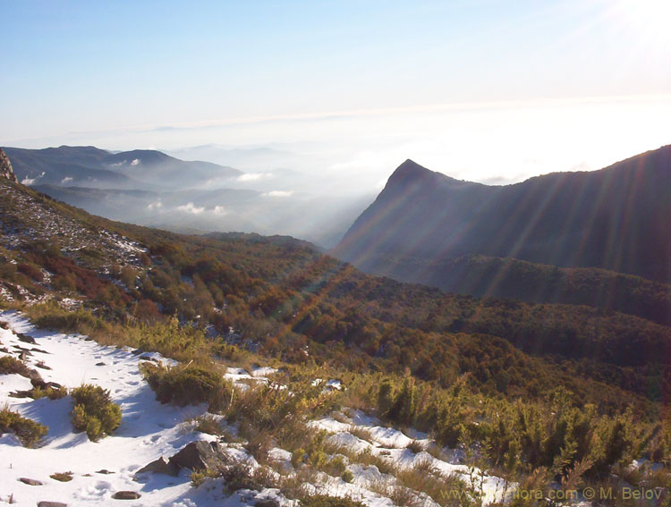 View of El Morillo in winter, Lircay, Vilches, Chile.