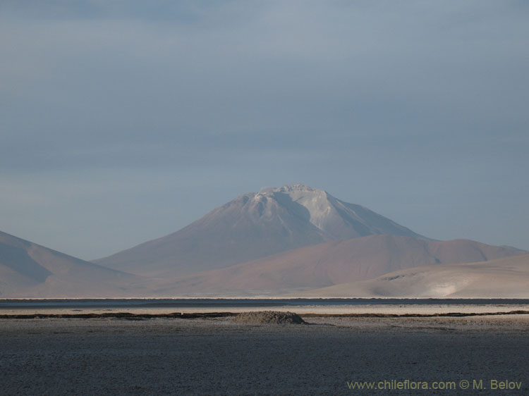 Evening on a Salt Lake: